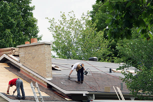 Roof Gutter Cleaning in Elm Springs, AR