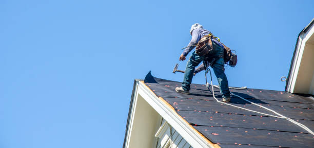 Best Roof Gutter Cleaning  in Elm Springs, AR